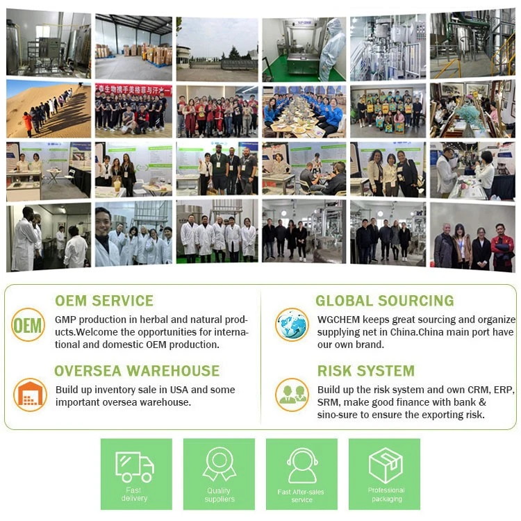 Customer factory inspection.jpg